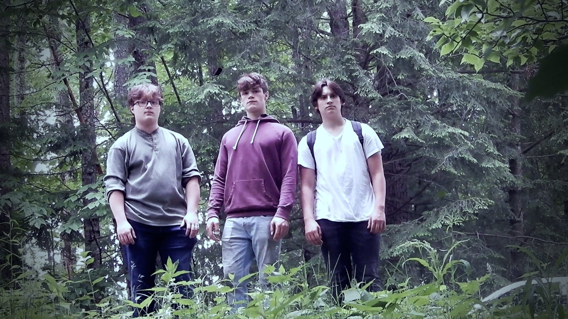 Lost In The Woods Background