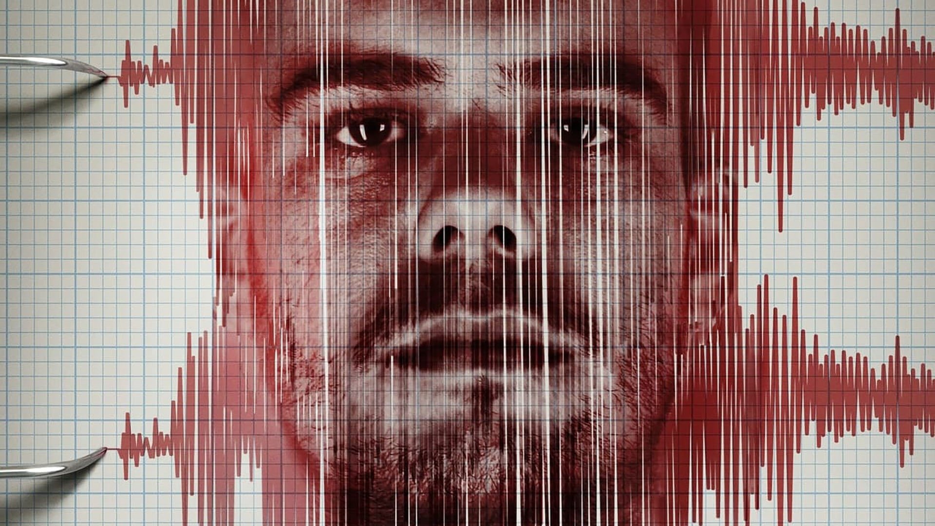 Pathological: The Lies of Joran van der Sloot Background