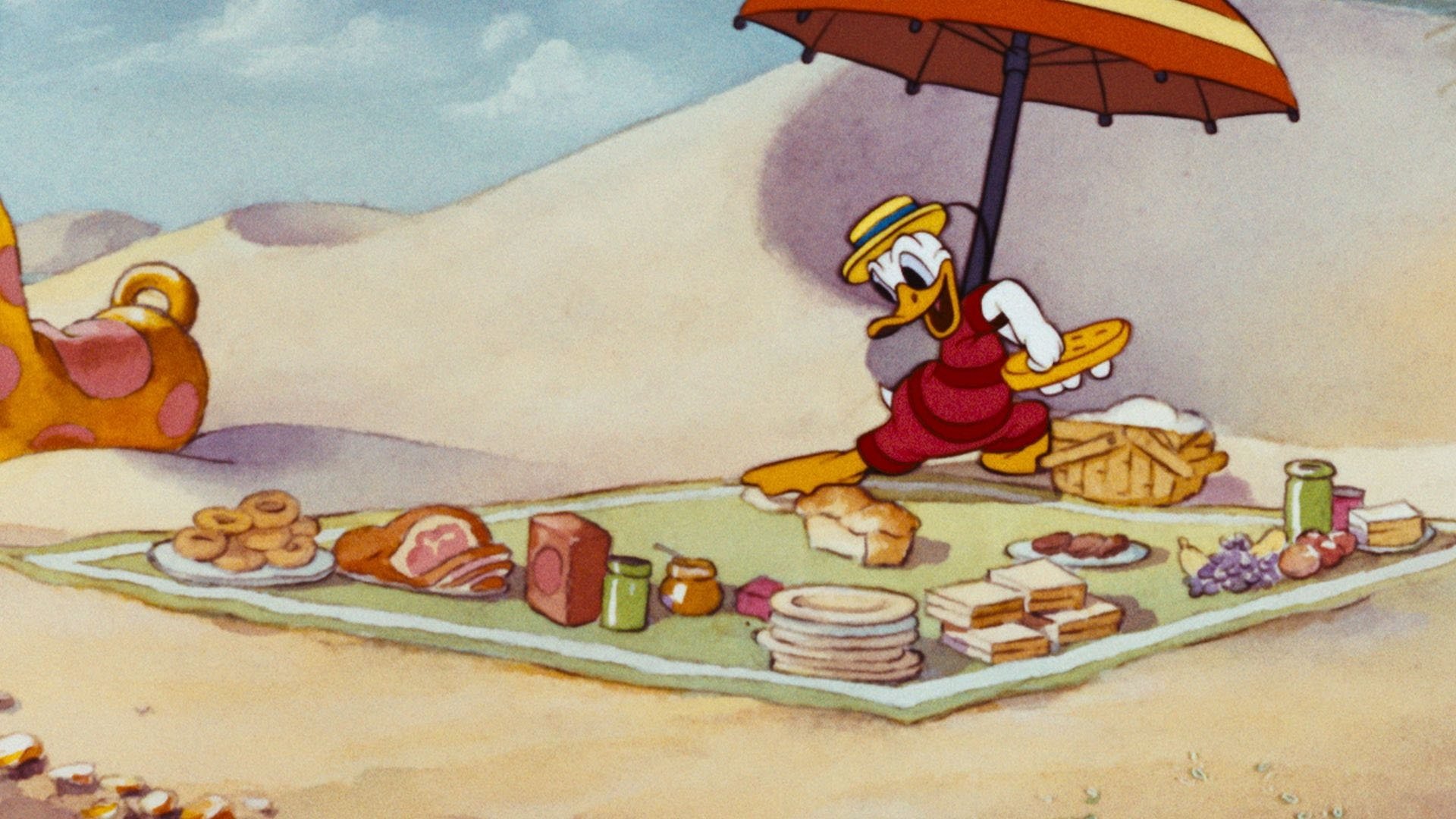 Beach Picnic Background