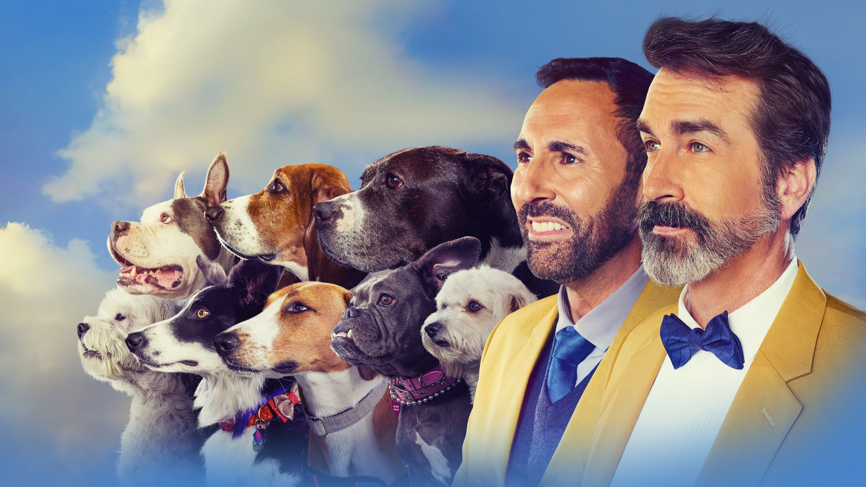 2022 American Rescue Dog Show Background