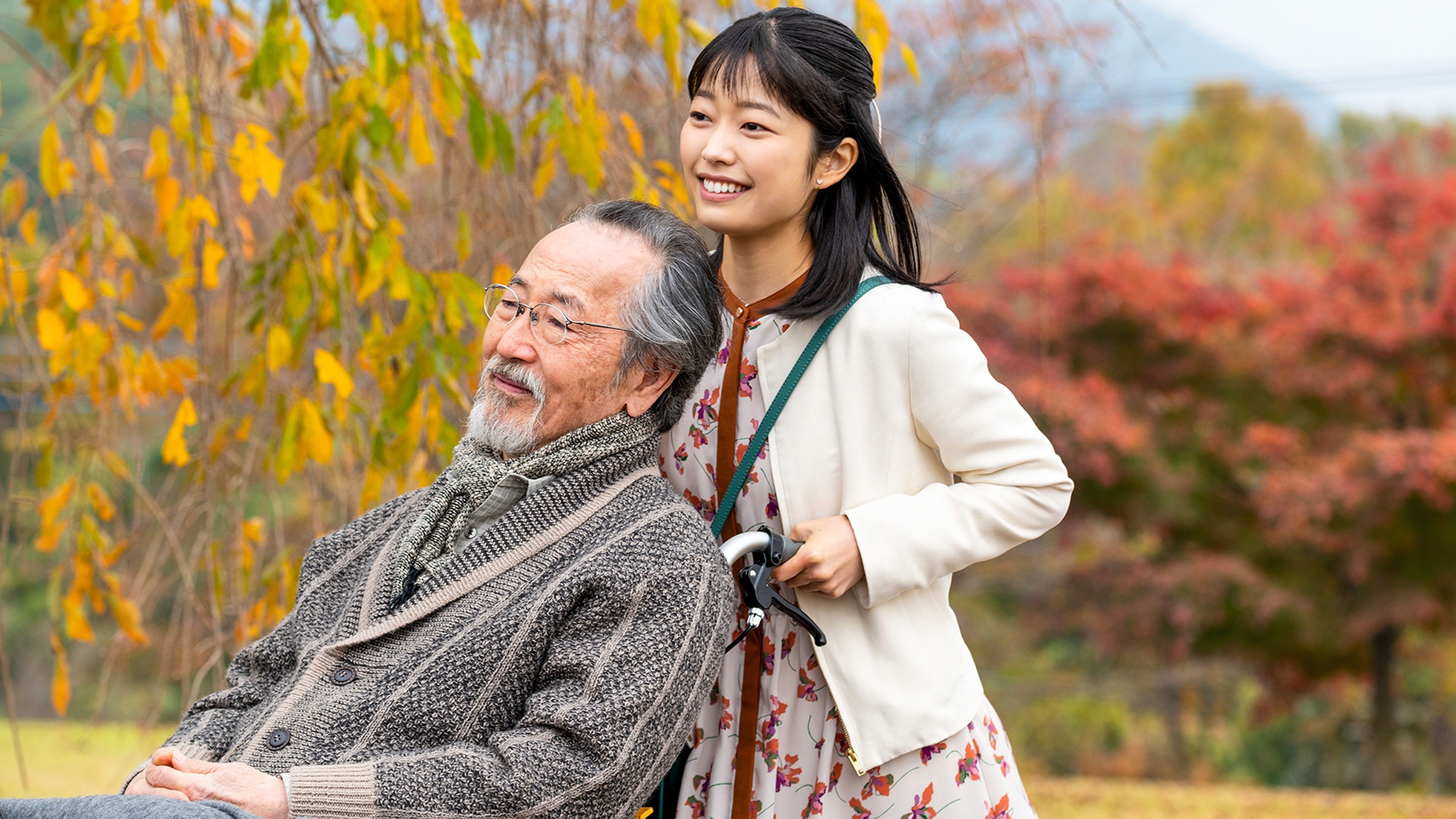 Before the Sunset Background