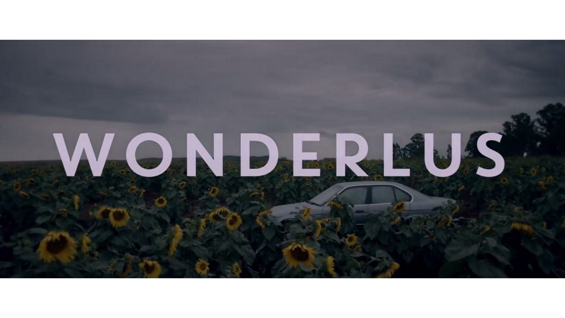 Wonderlus Background