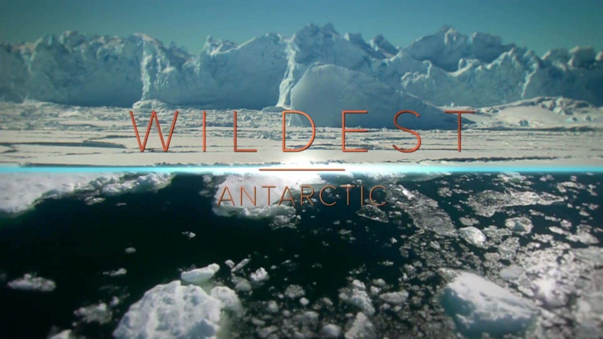 Wildest Places Background