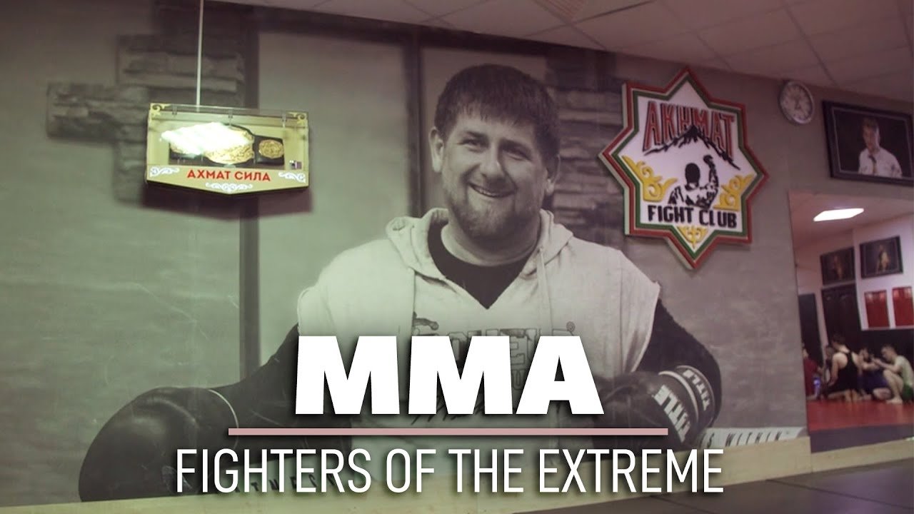 MMA: Fighters of the Extreme Background
