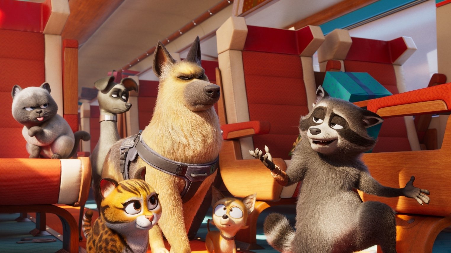 Pets on a Train Background