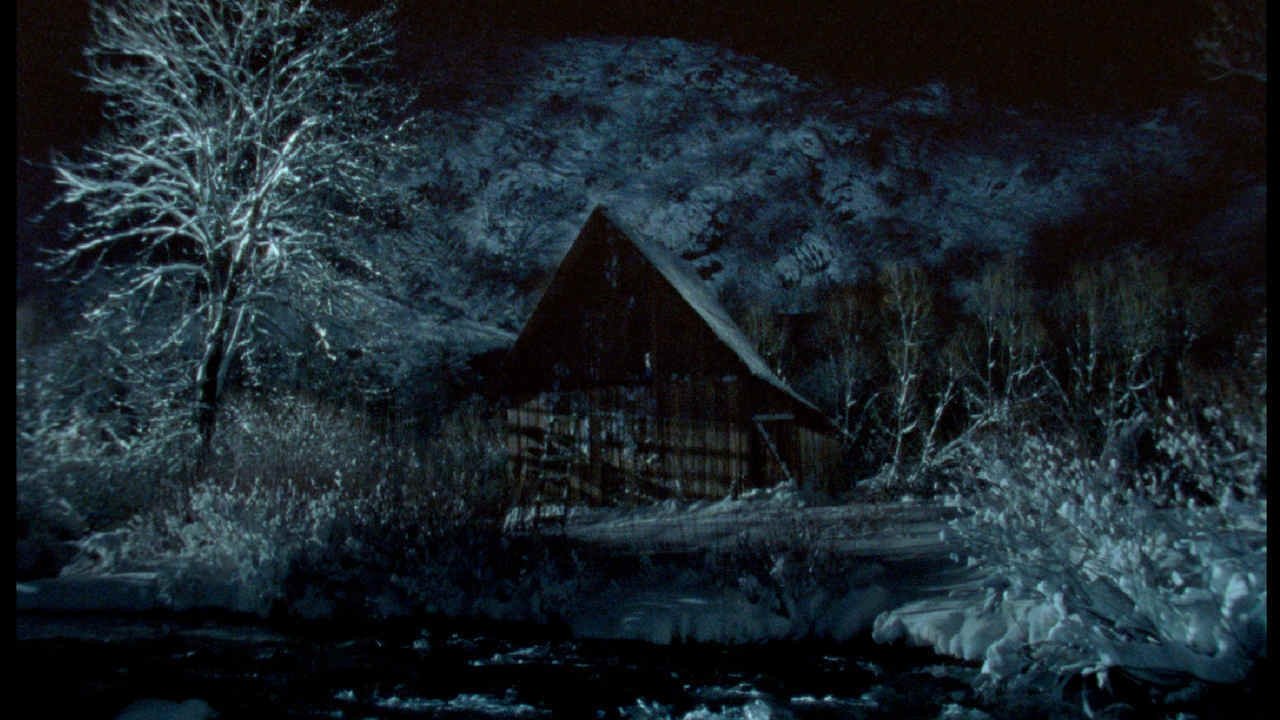 The Tree Background