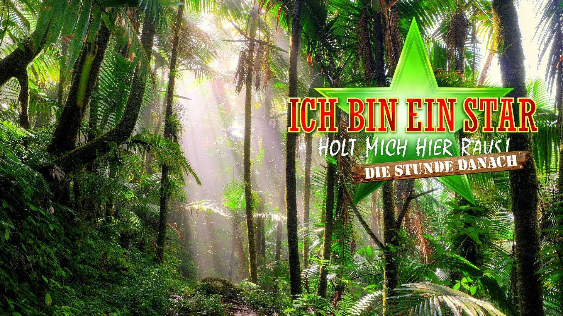 Ich bin ein Star – Holt mich hier raus! Die Stunde danach Background