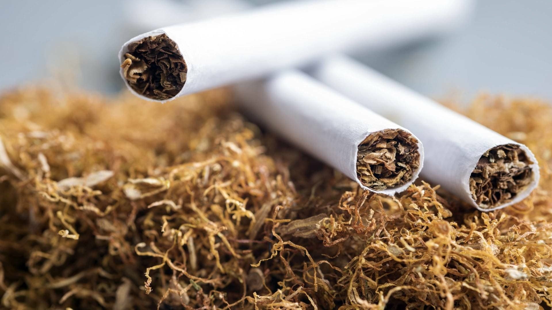 Nicotine - A Drug with a Future Background