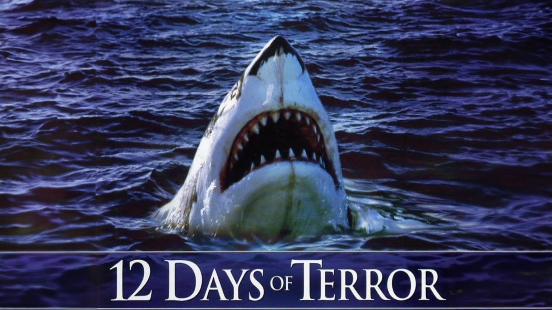 12 Days of Terror Background