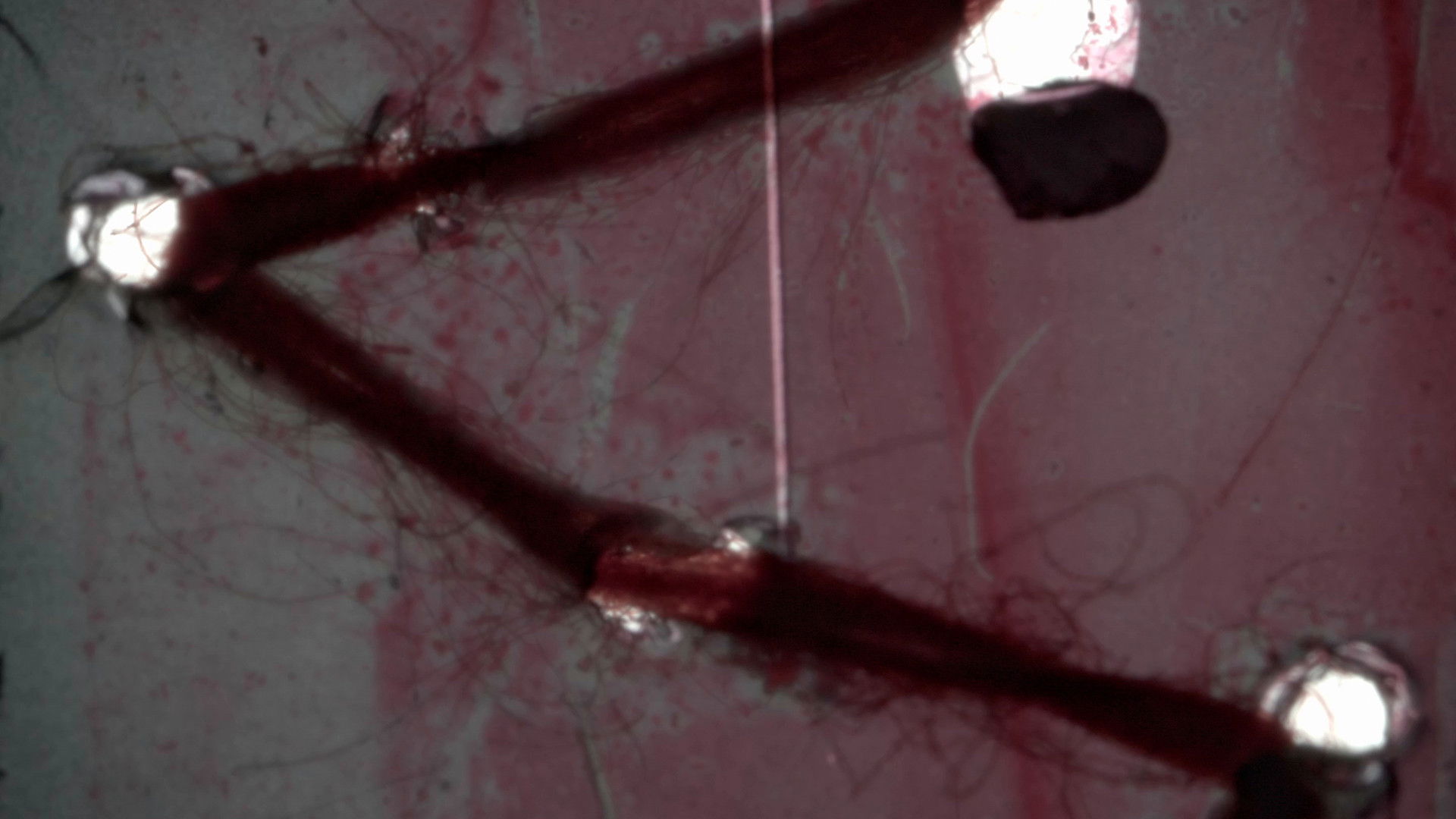 Flesh in Turmoil Background