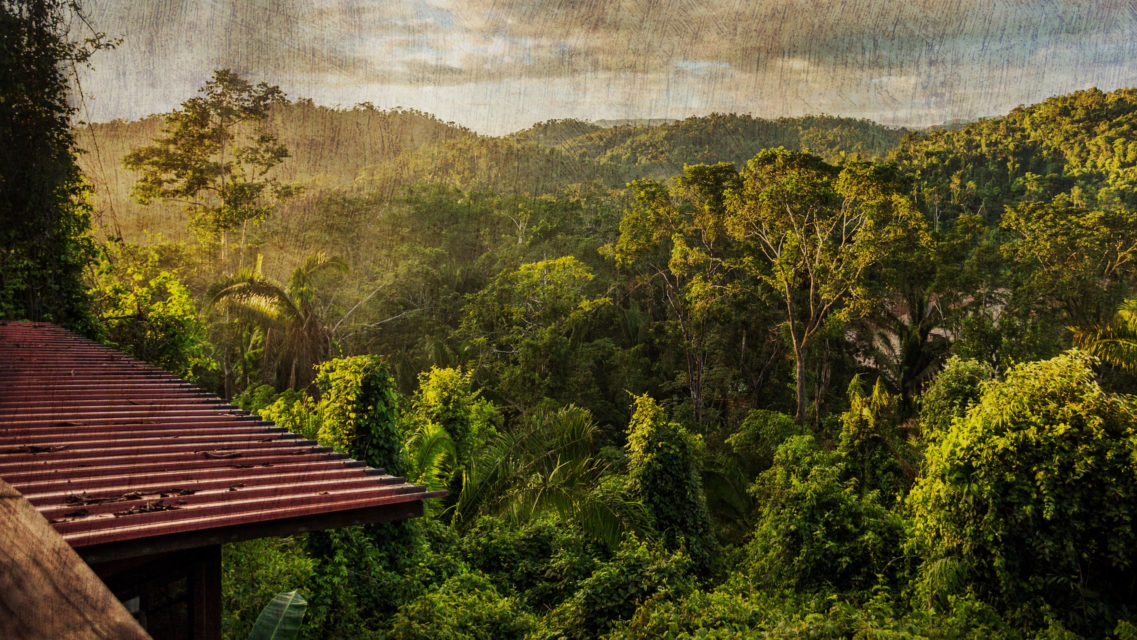 The Cannibal in the Jungle Background