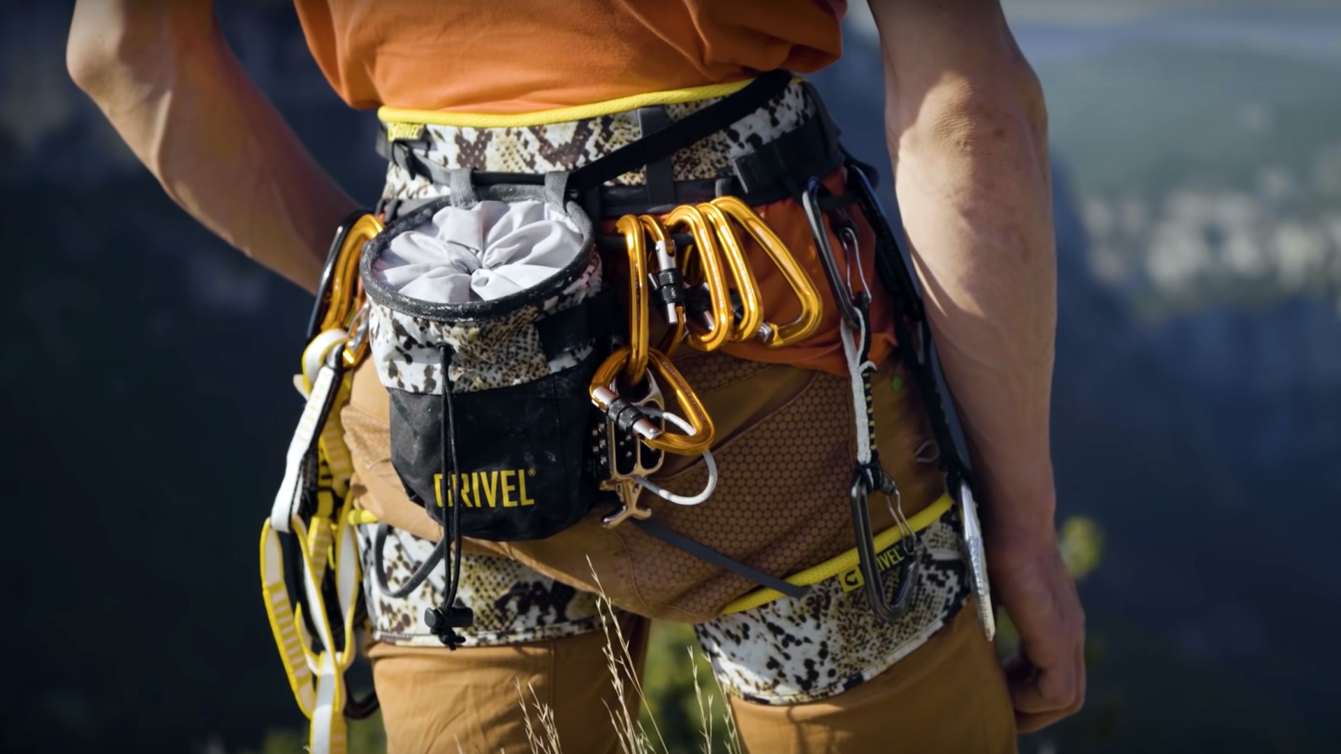 Verdon - The Show Must Go On Background