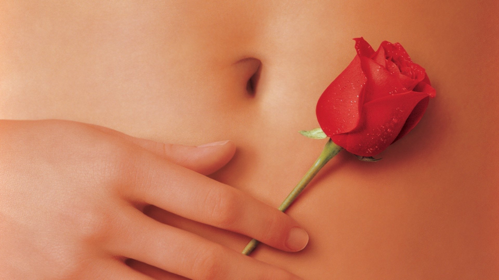 American Beauty Background