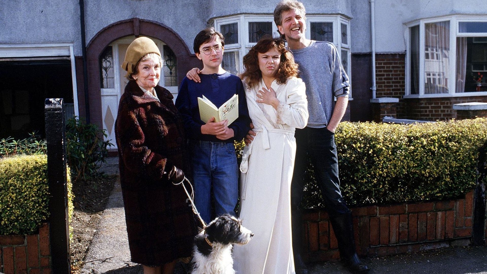 The Growing Pains of Adrian Mole Background