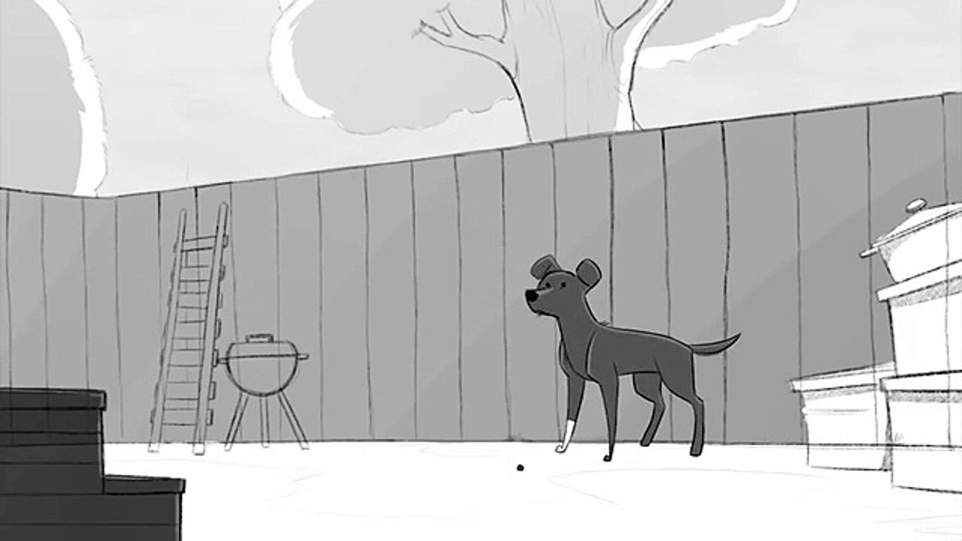 The Dog Background