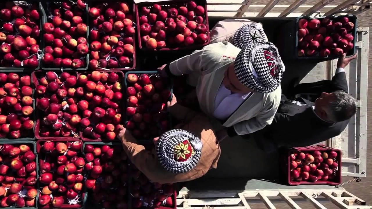 1001 Apples Background