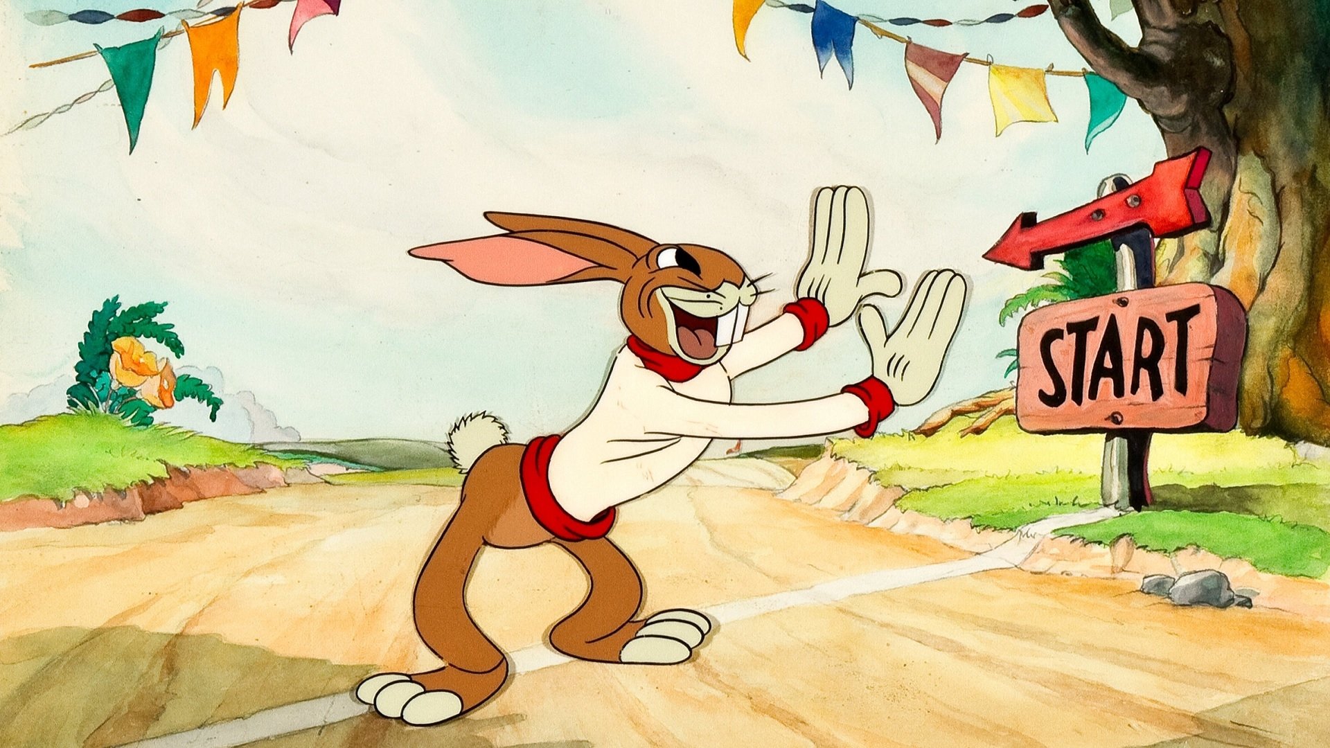 The Tortoise and the Hare Background