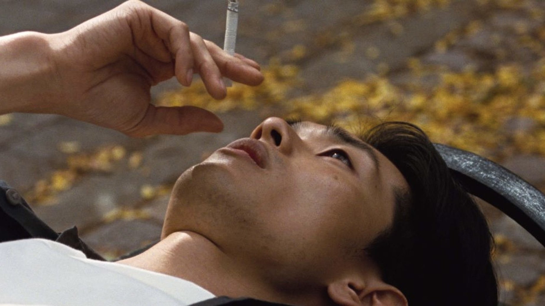 The Chicken Background