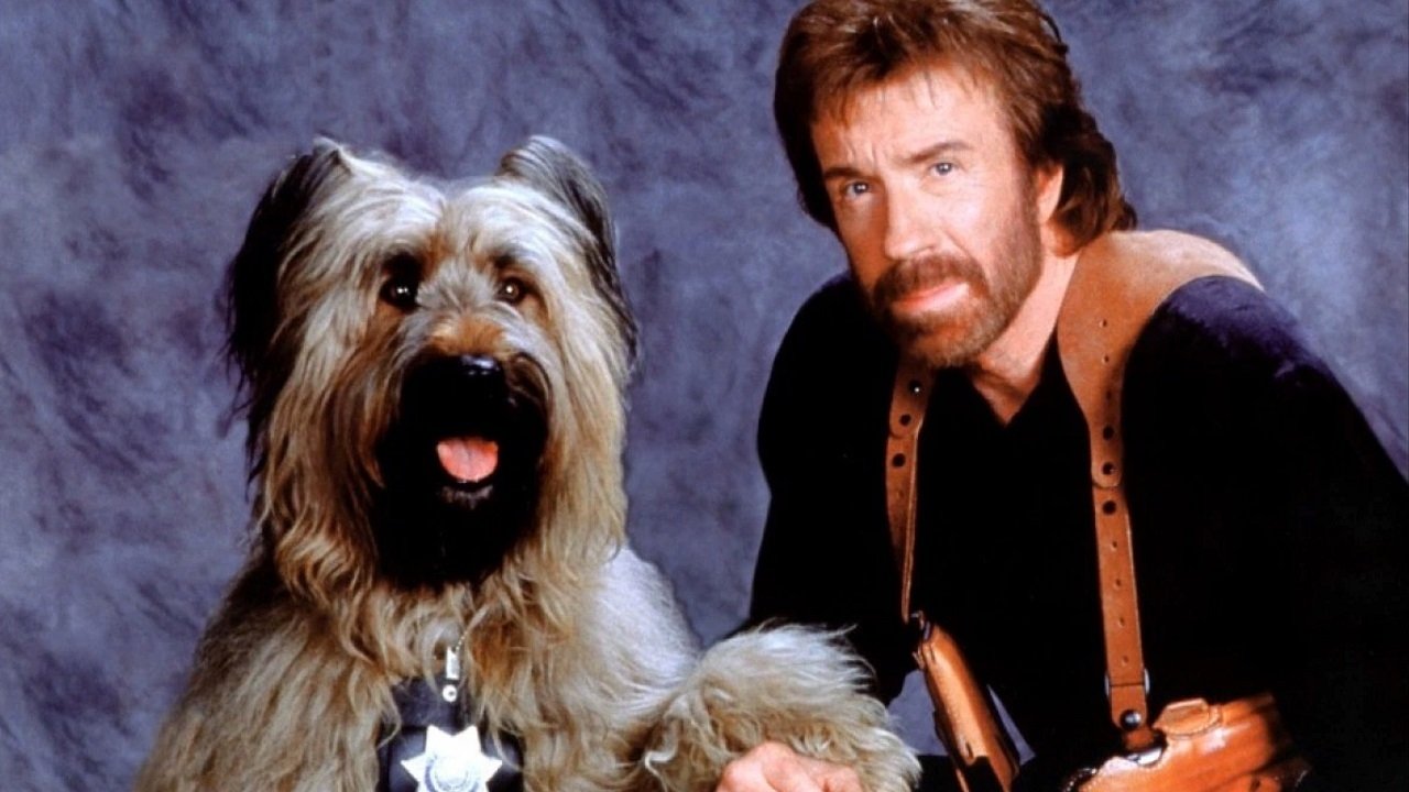 Top Dog Background
