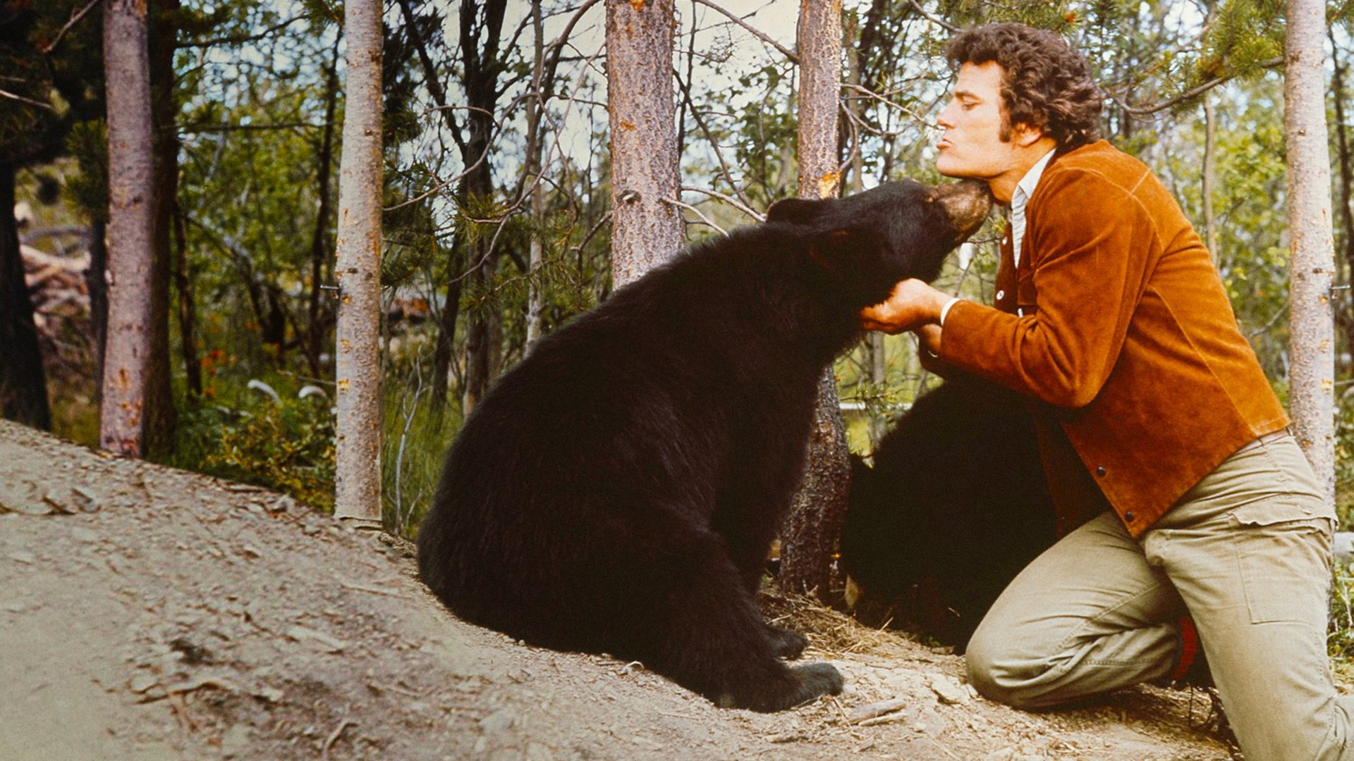 The Bears and I Background