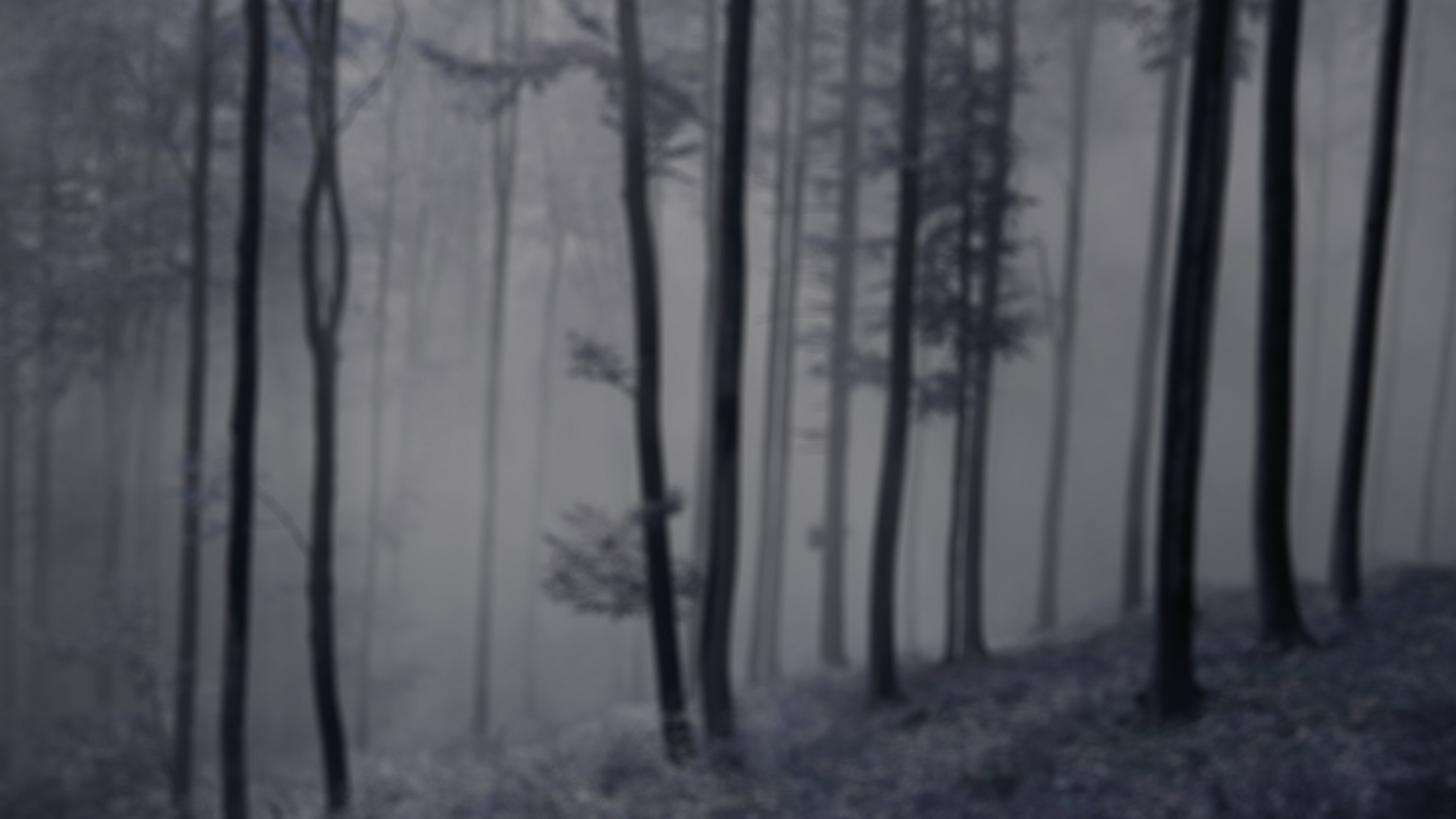 The Legend of King Arthur Background