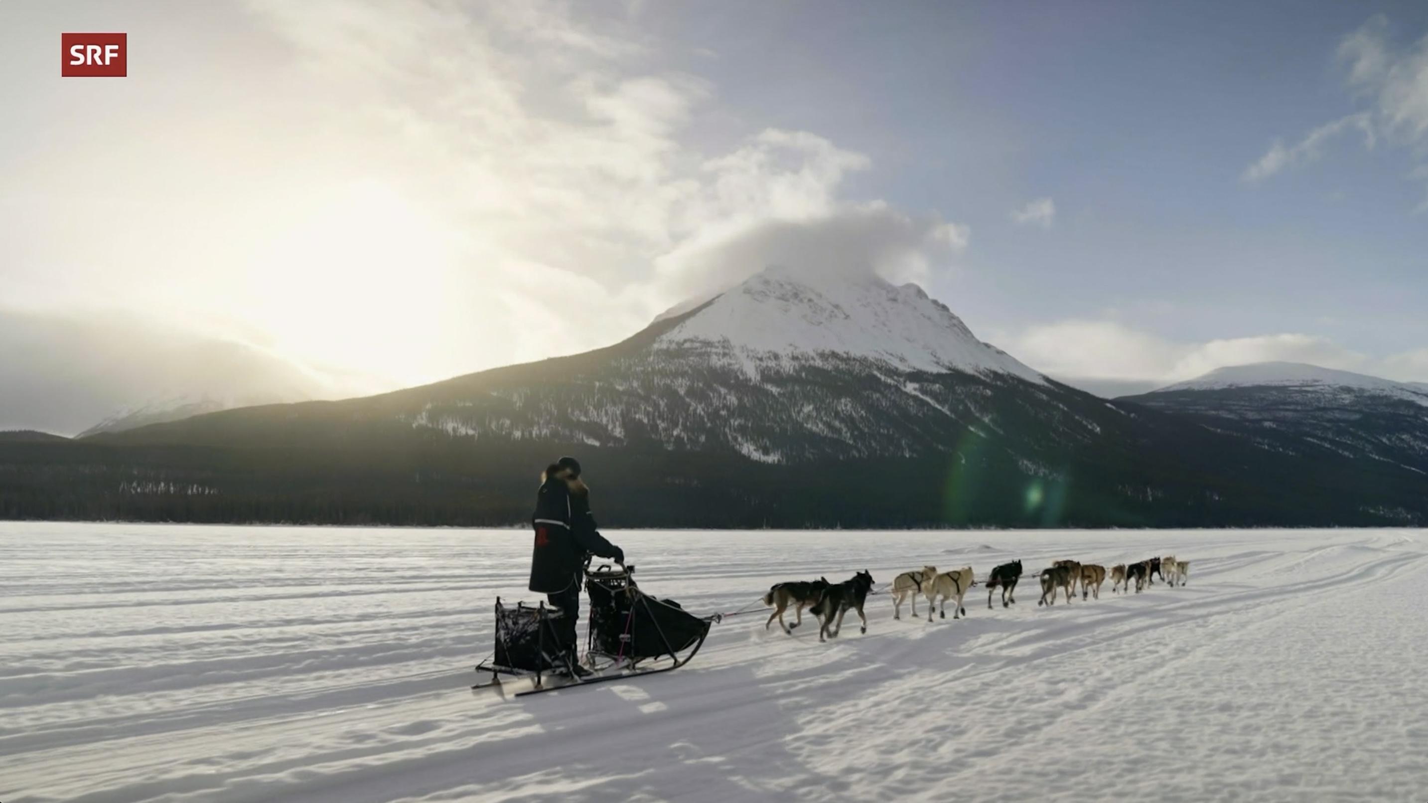 Musher, l'appel de l'Alaska Background