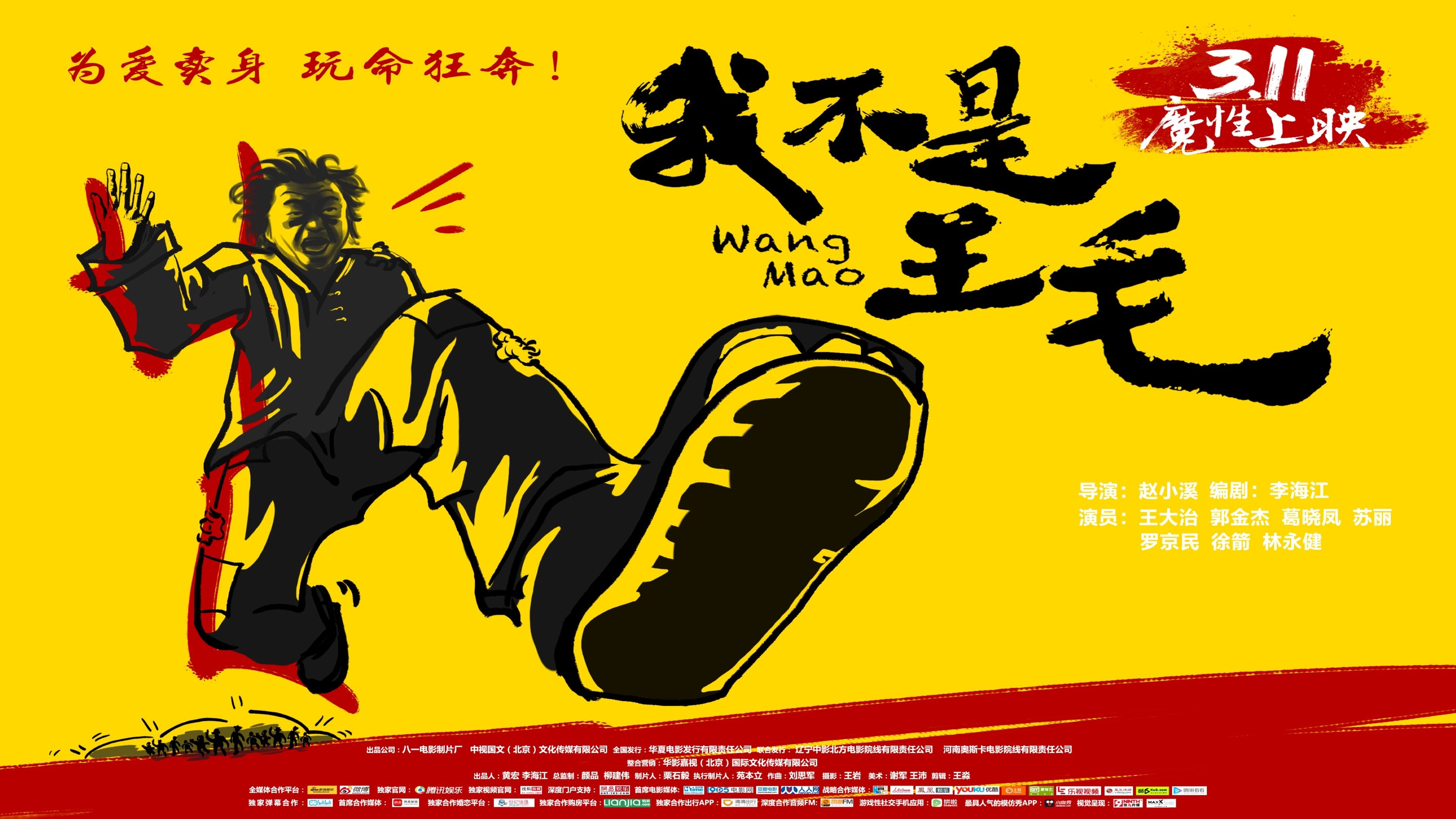 Wang Mao Background