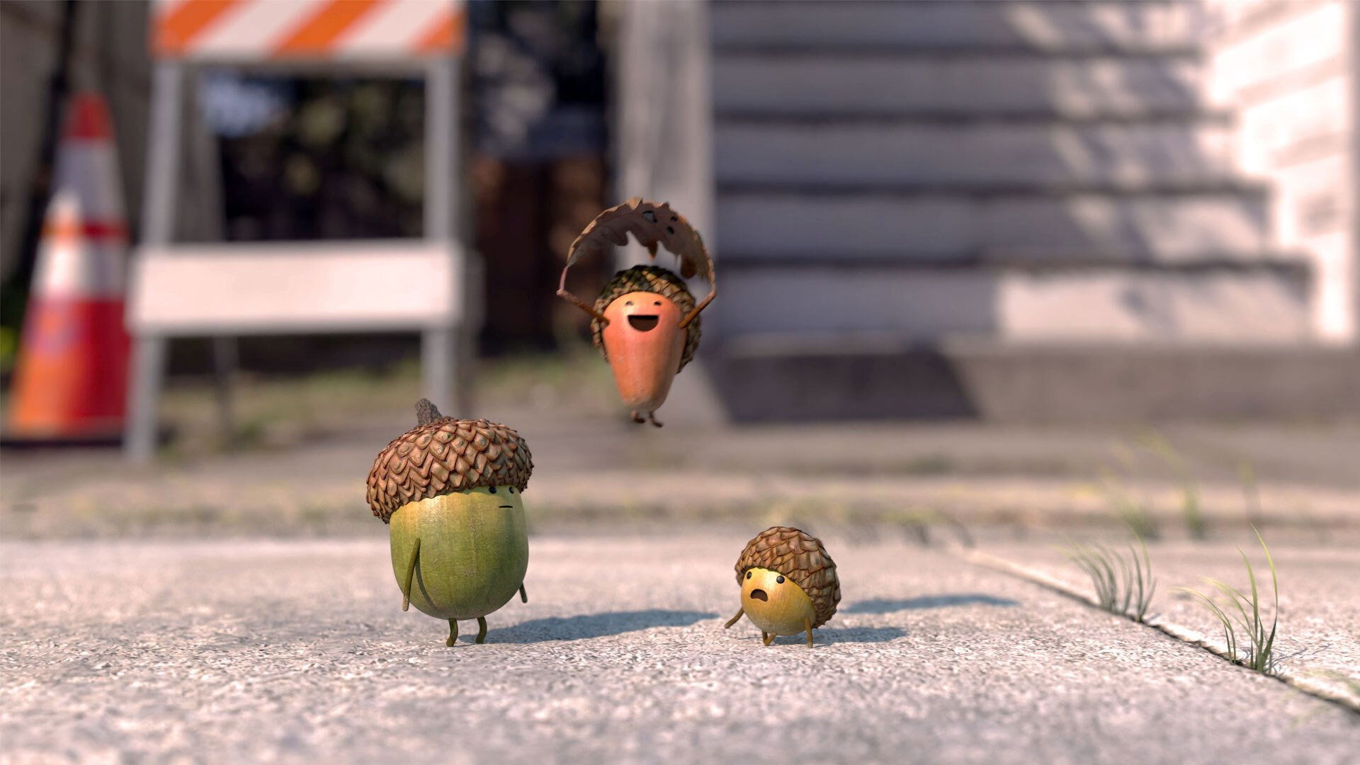 Acorns Background