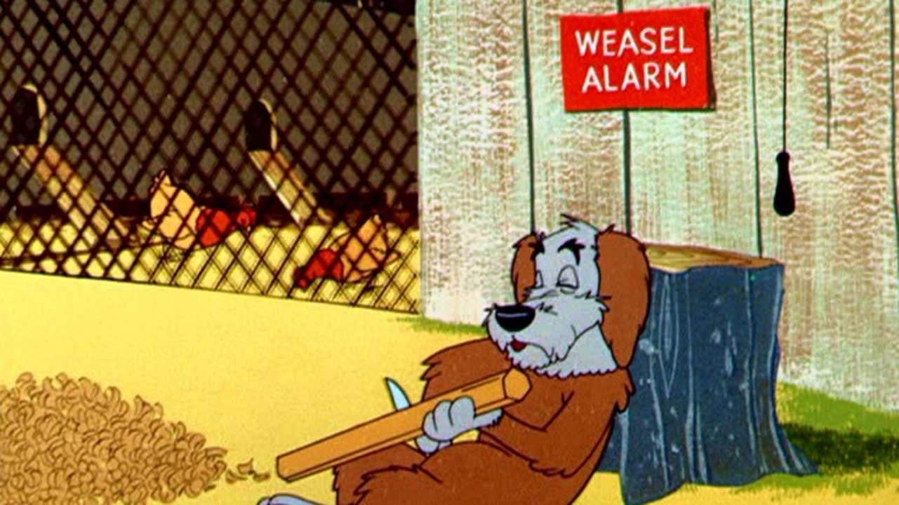 Weasel Stop Background