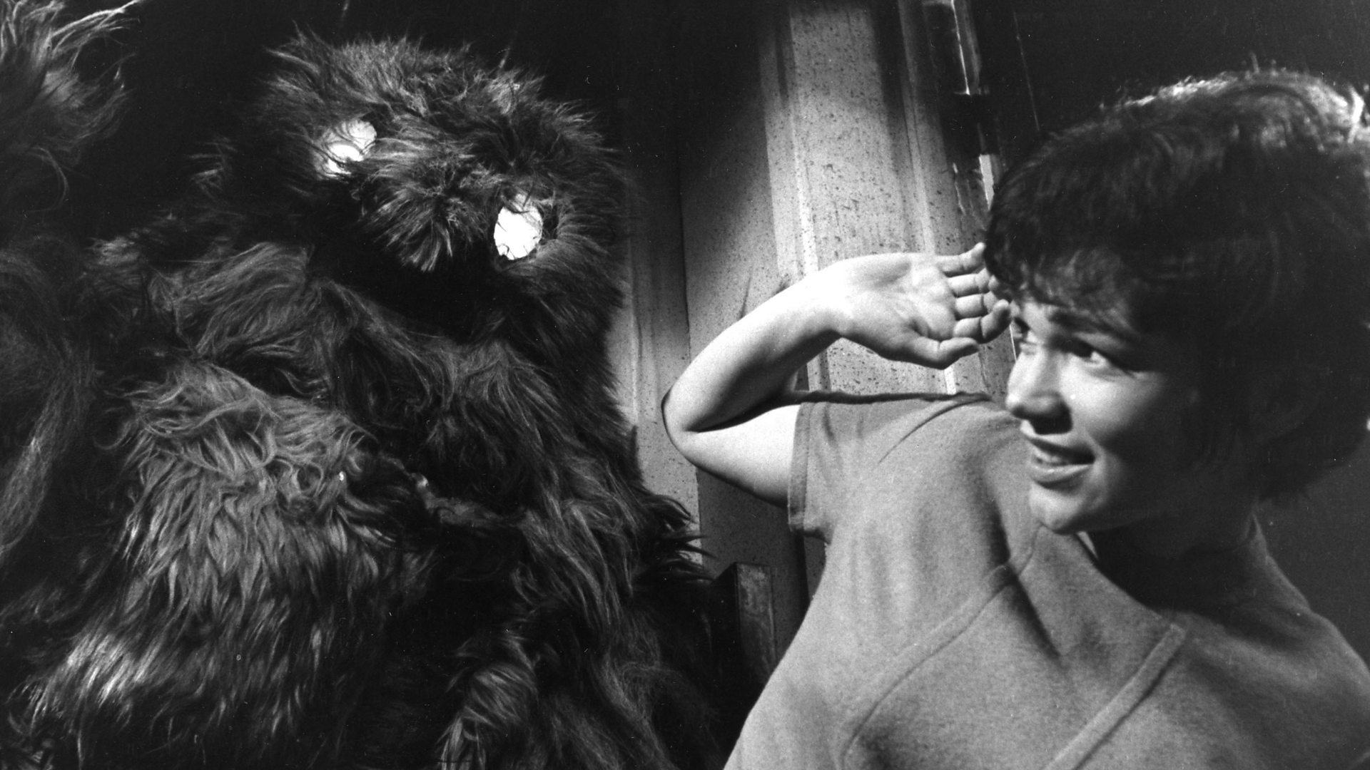 Doctor Who: The Web of Fear Background