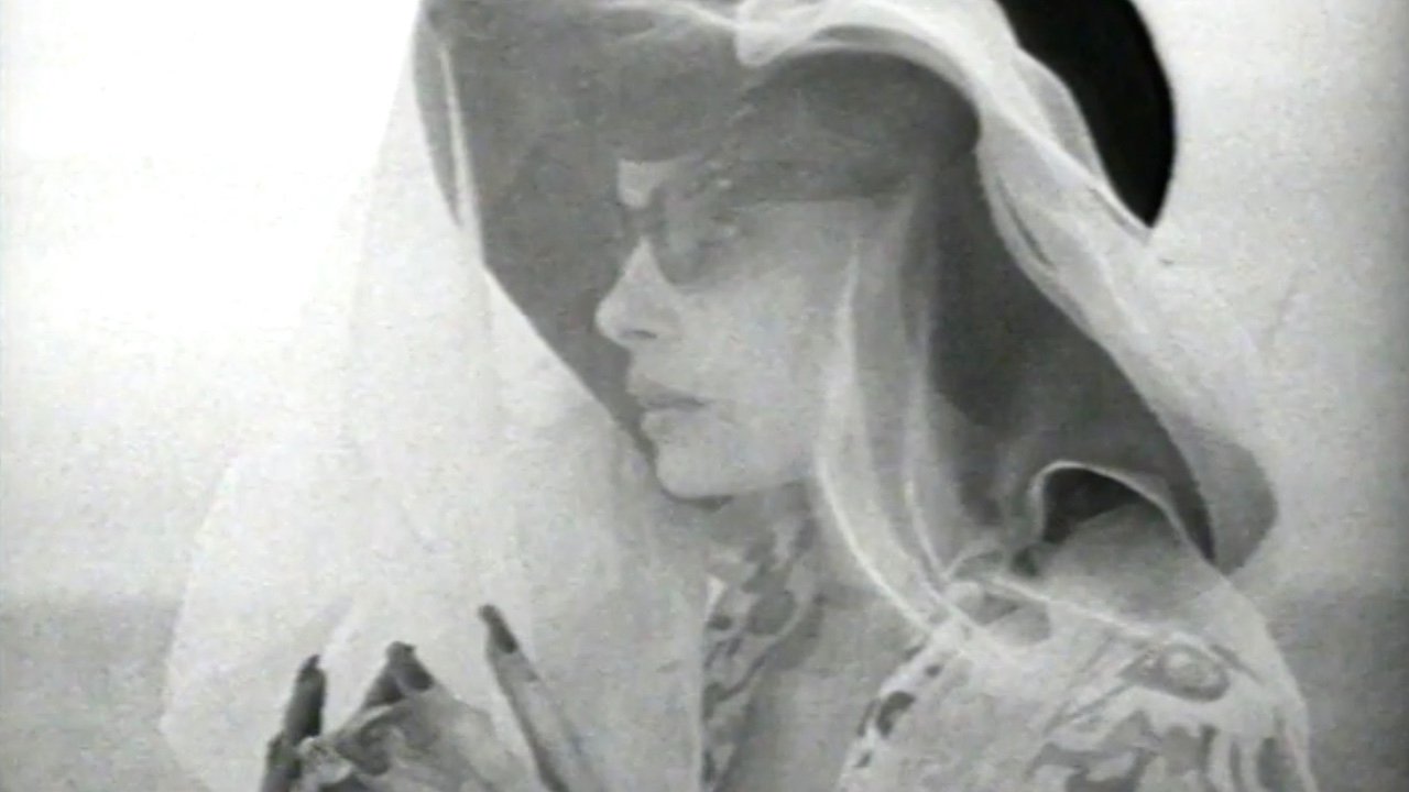 The Houseguest Background