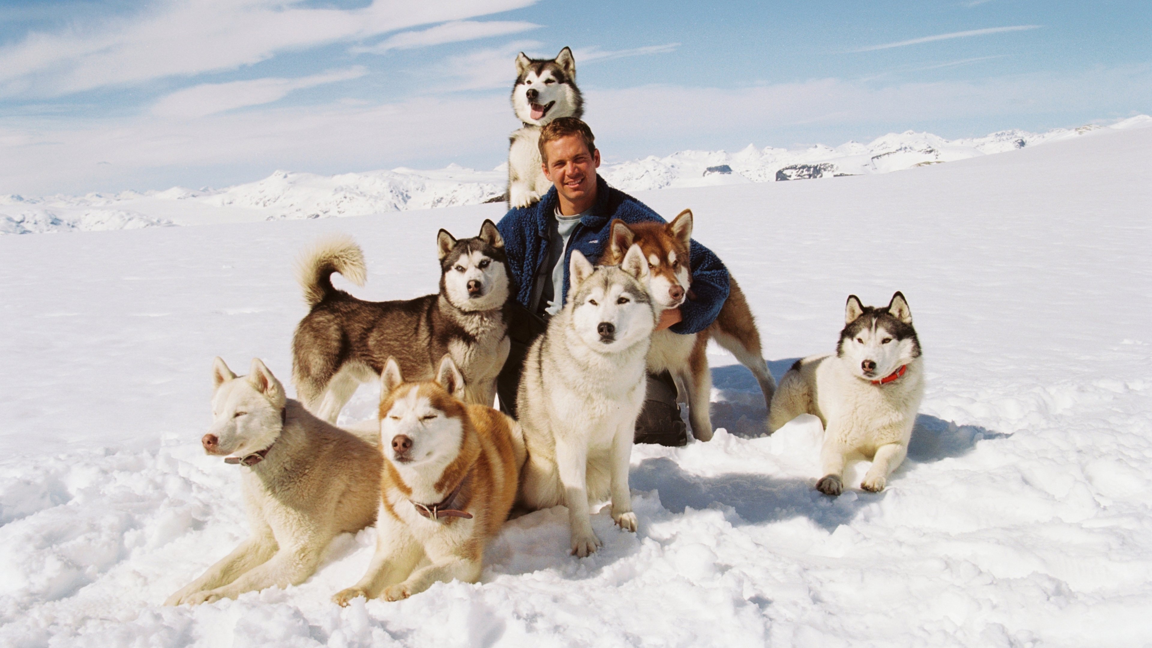 Eight Below Background