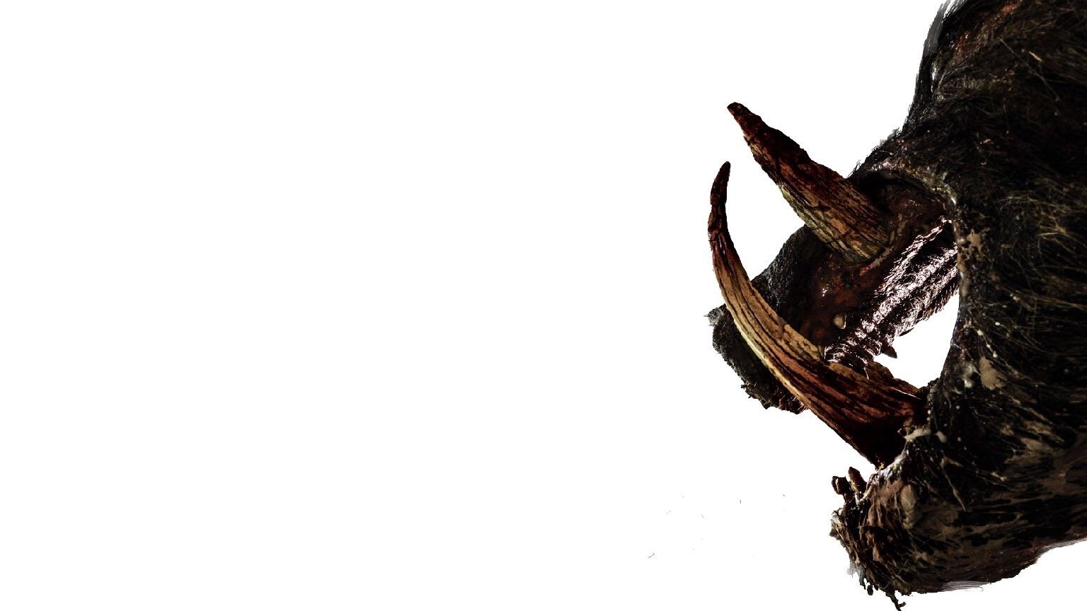 Boar Background