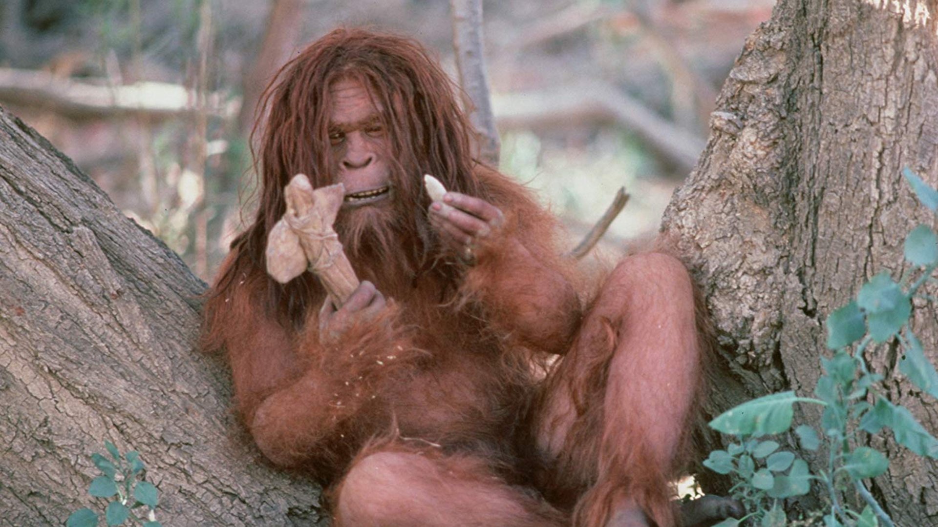 Missing Link Background