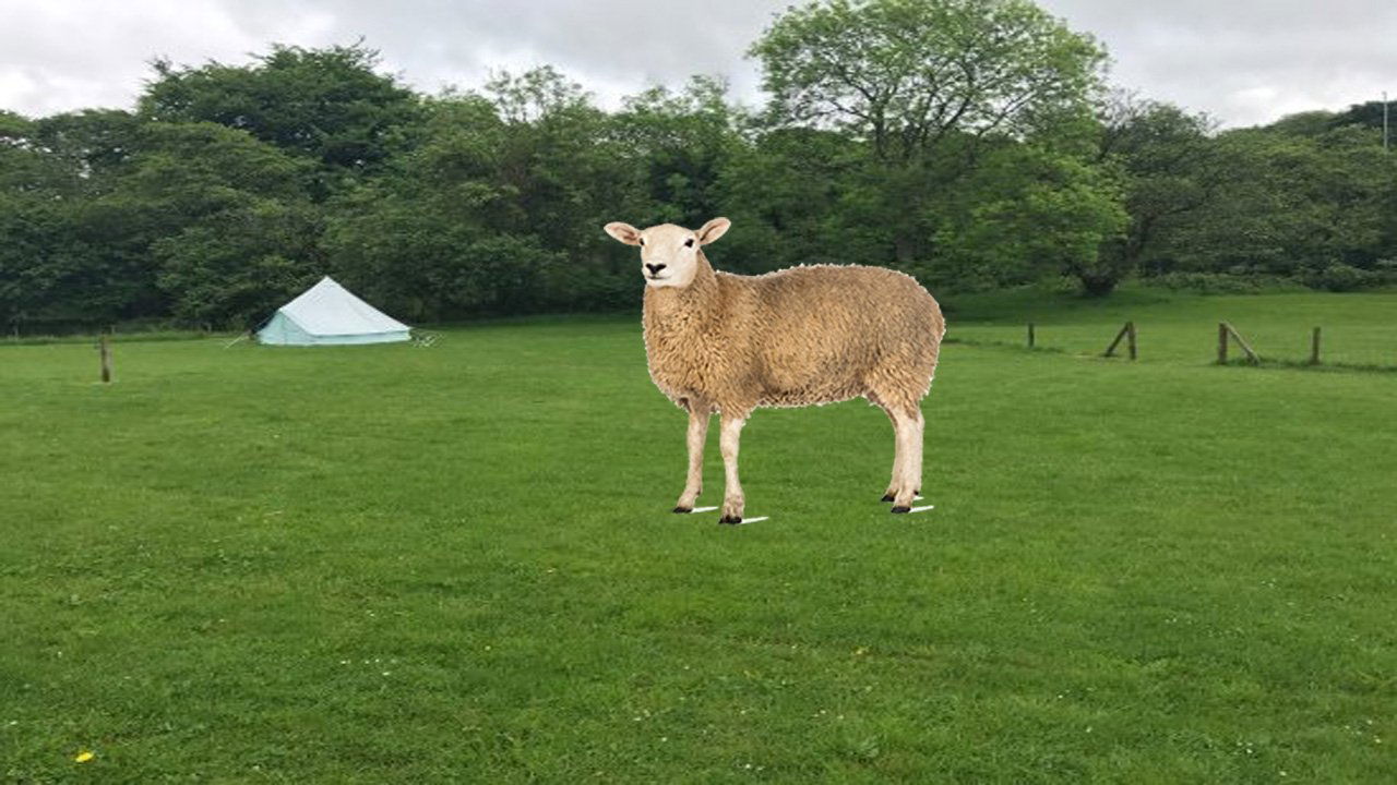 Dai the Sheep Background