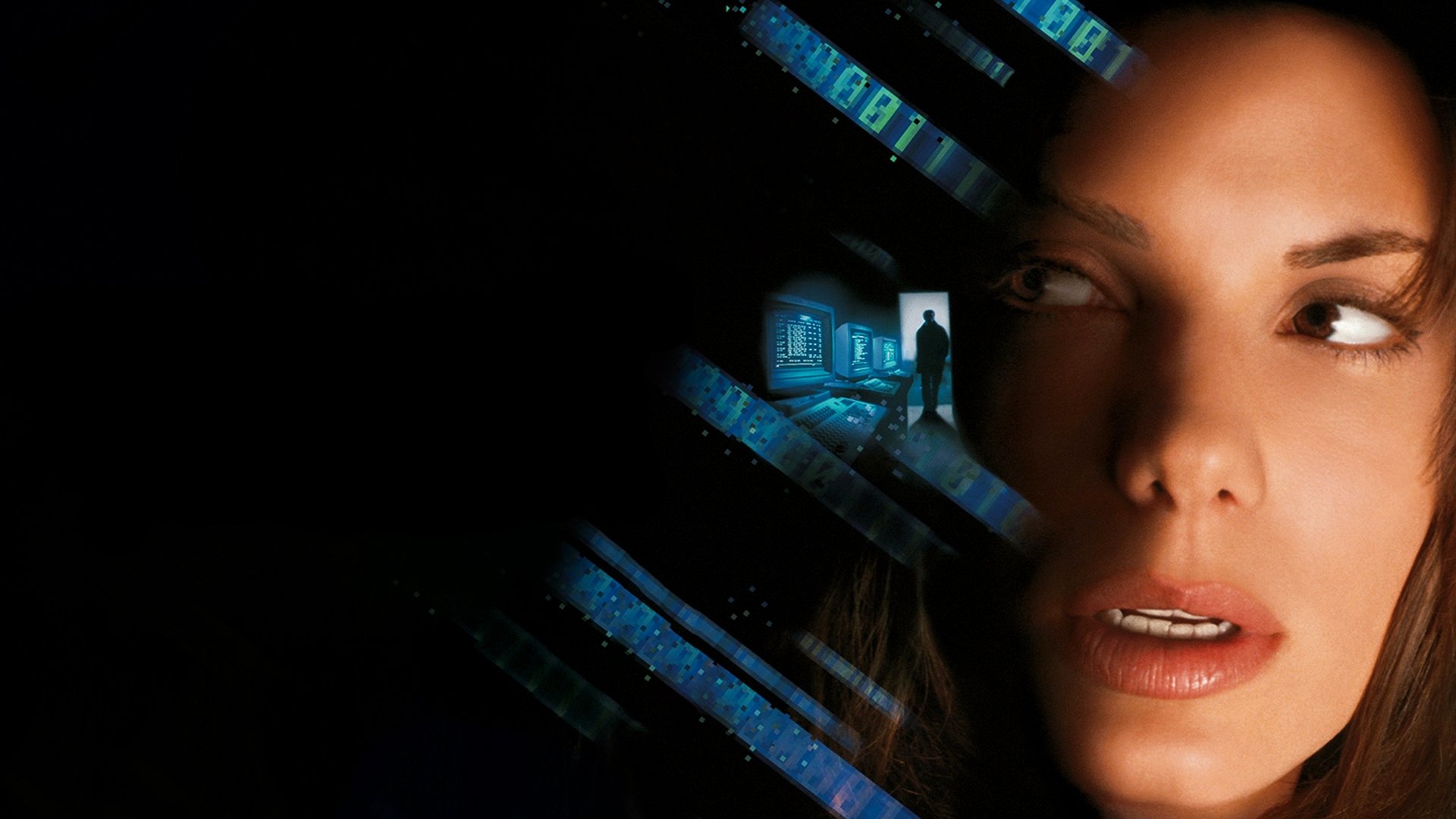 The Net Background
