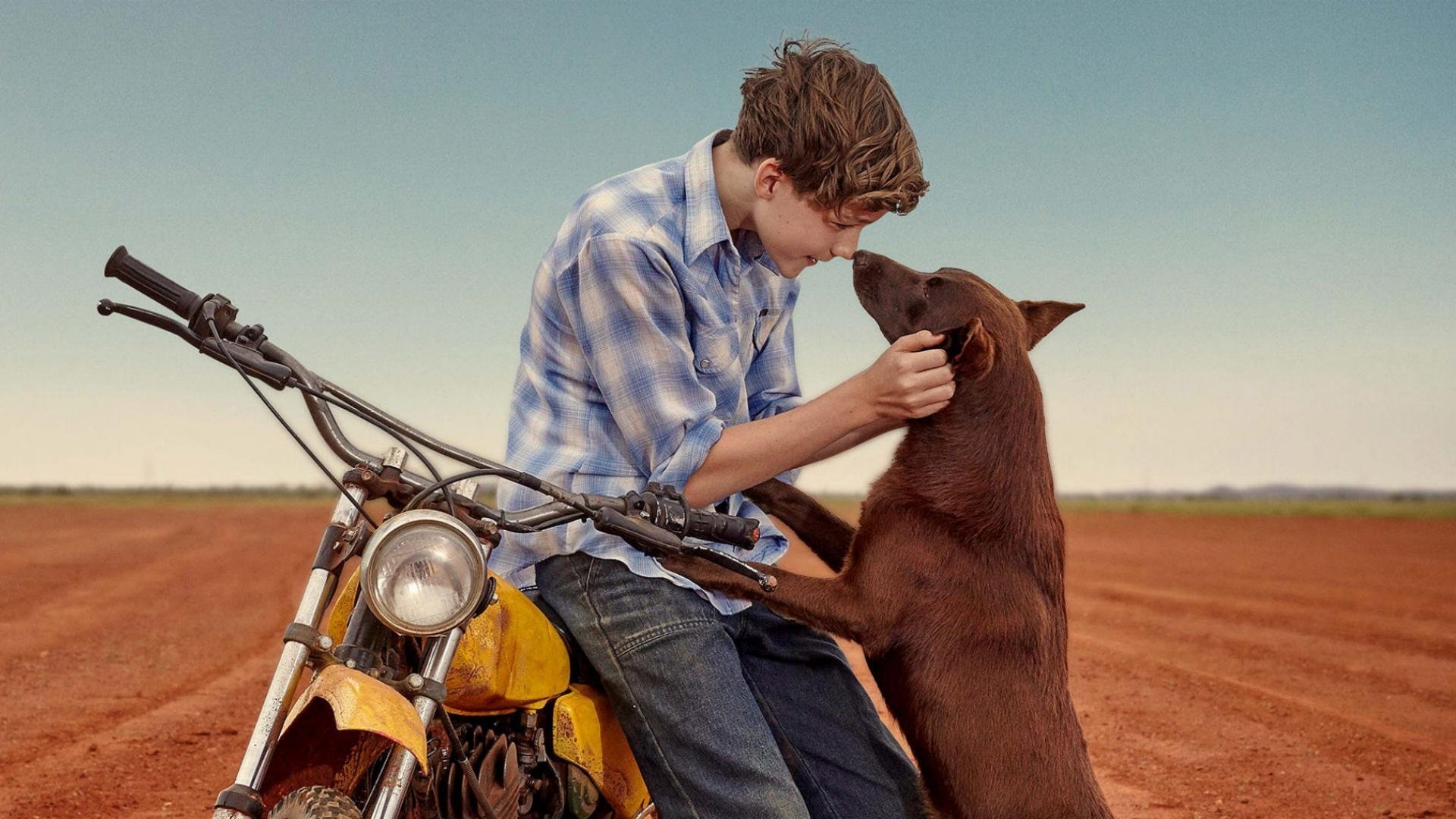 Red Dog: True Blue Background