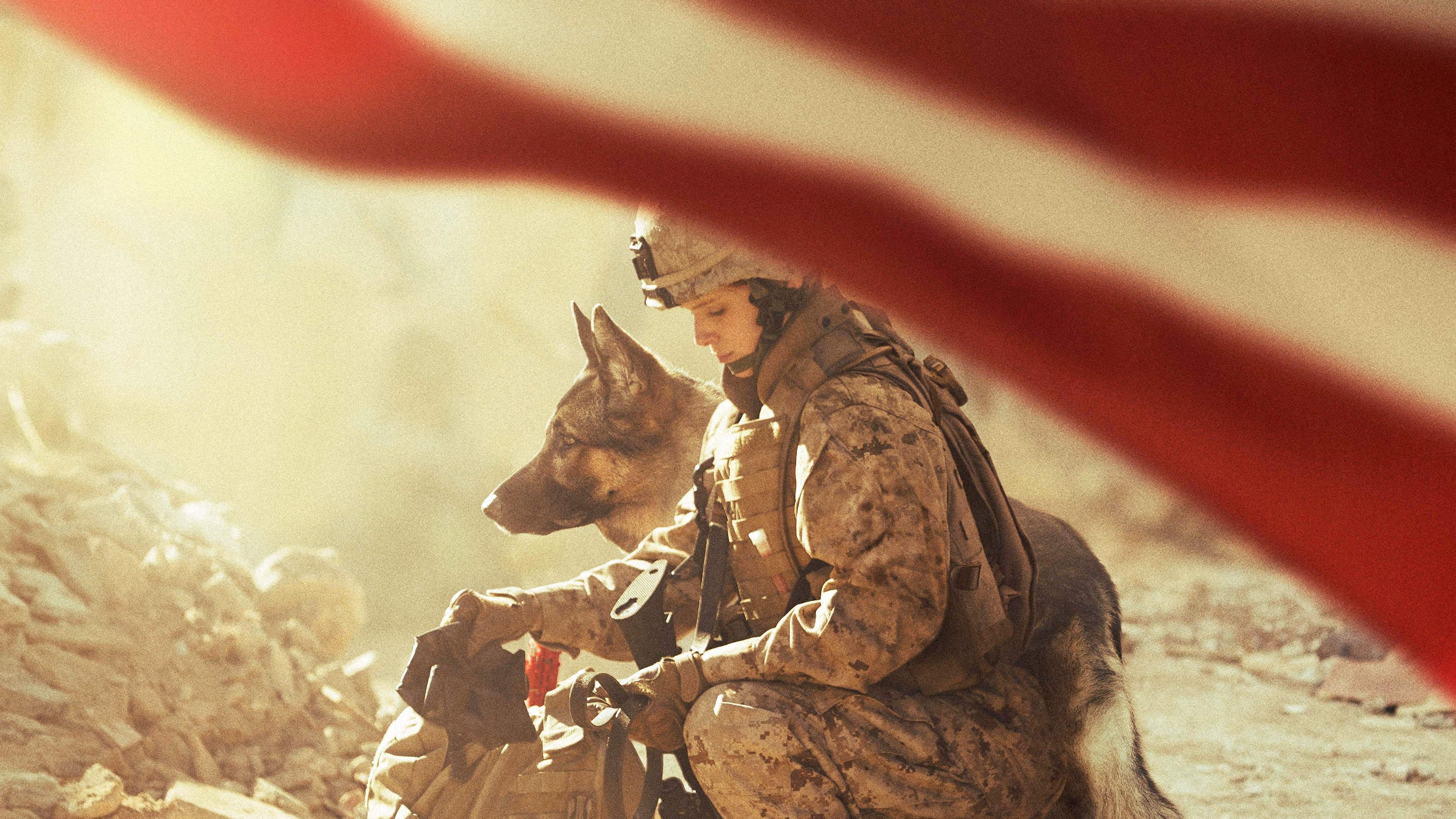 Megan Leavey Background