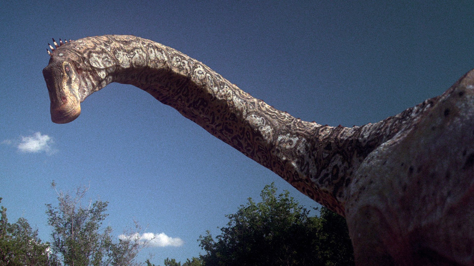 Dinotasia Dinosaur Chronicle Background
