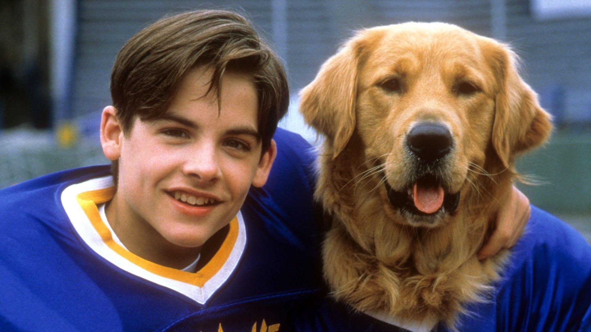 Air Bud: Golden Receiver Background