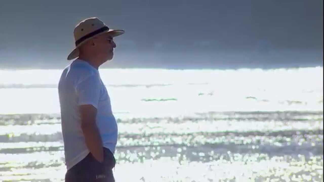 Yalom's Cure Background
