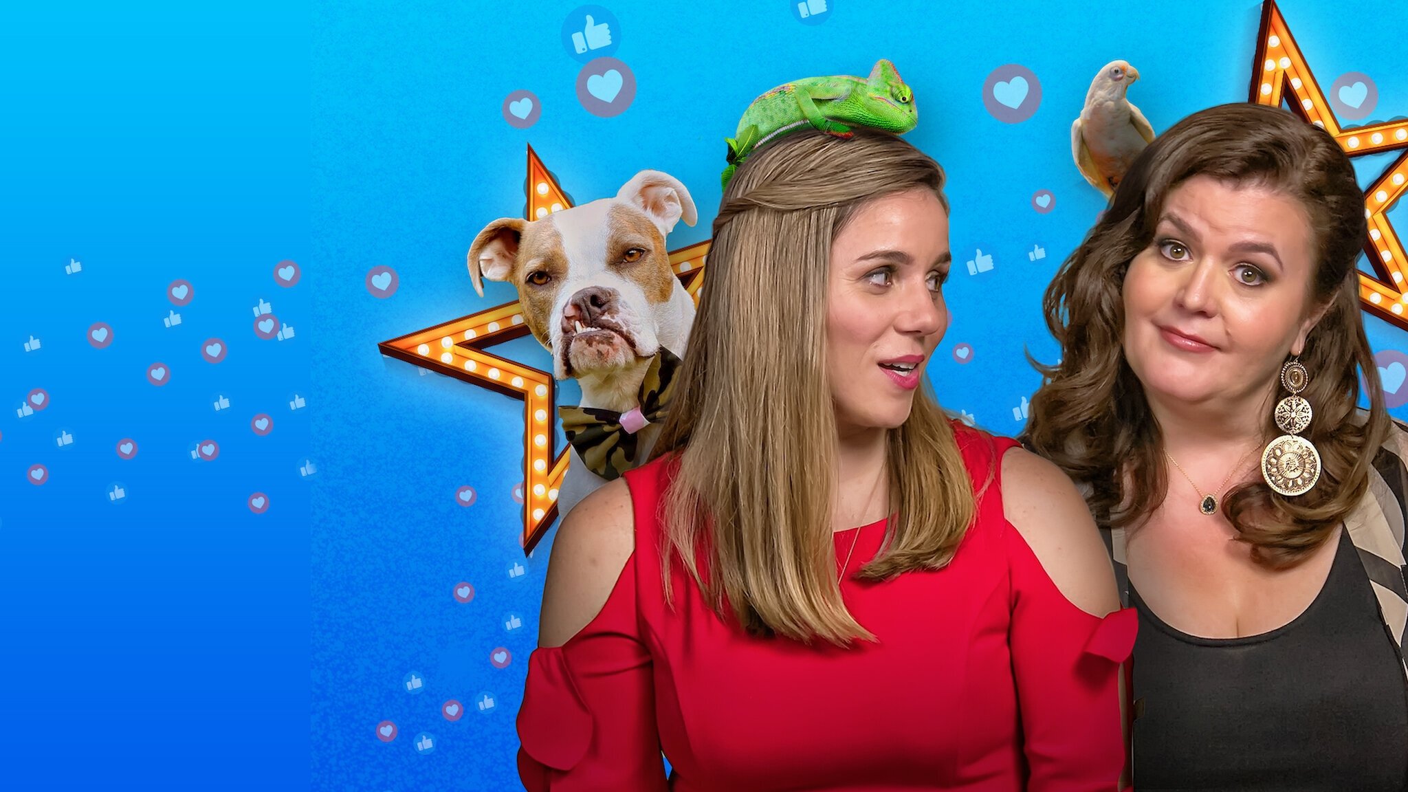 Pet Stars Background