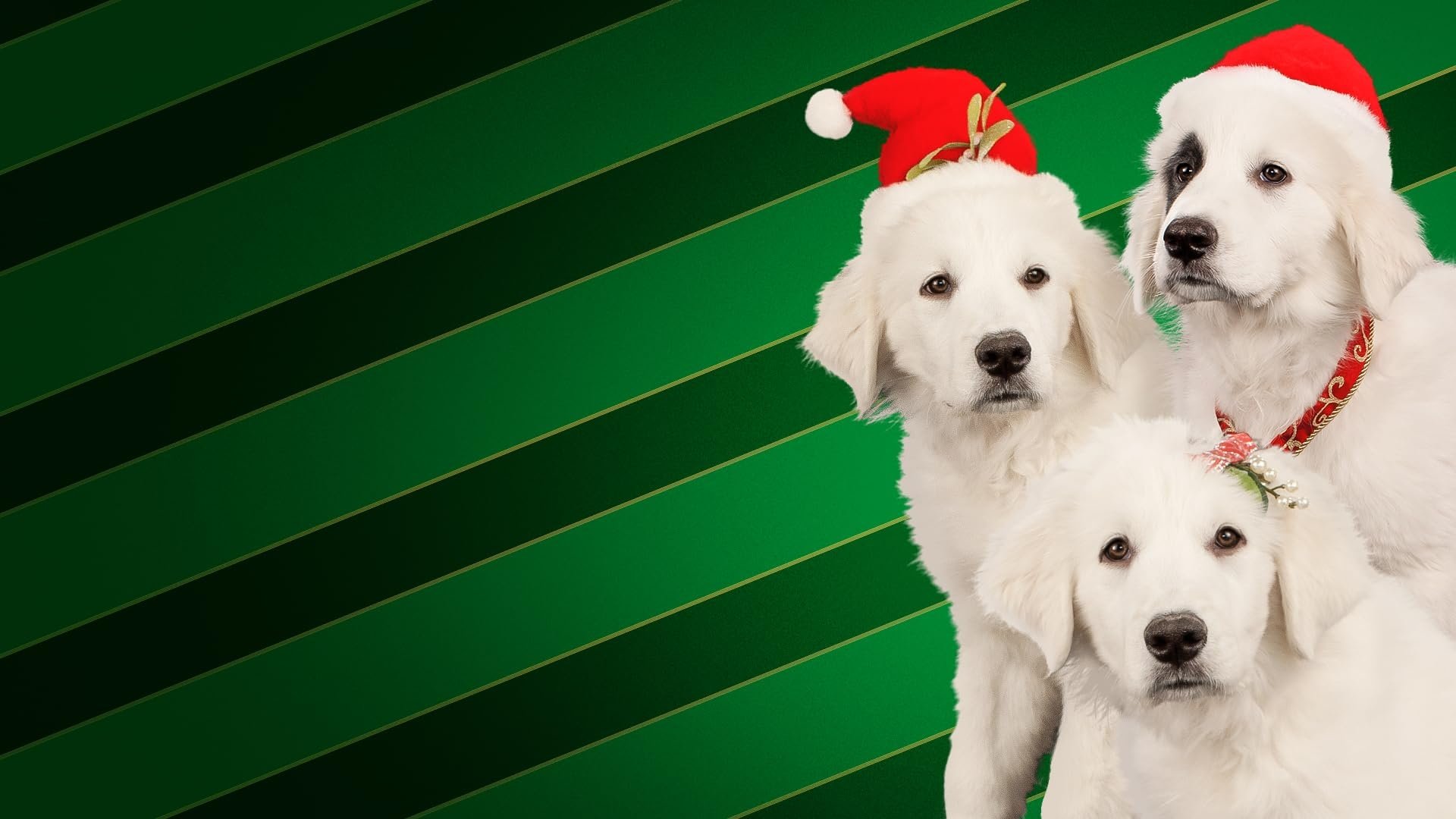 Santa Buddies Background