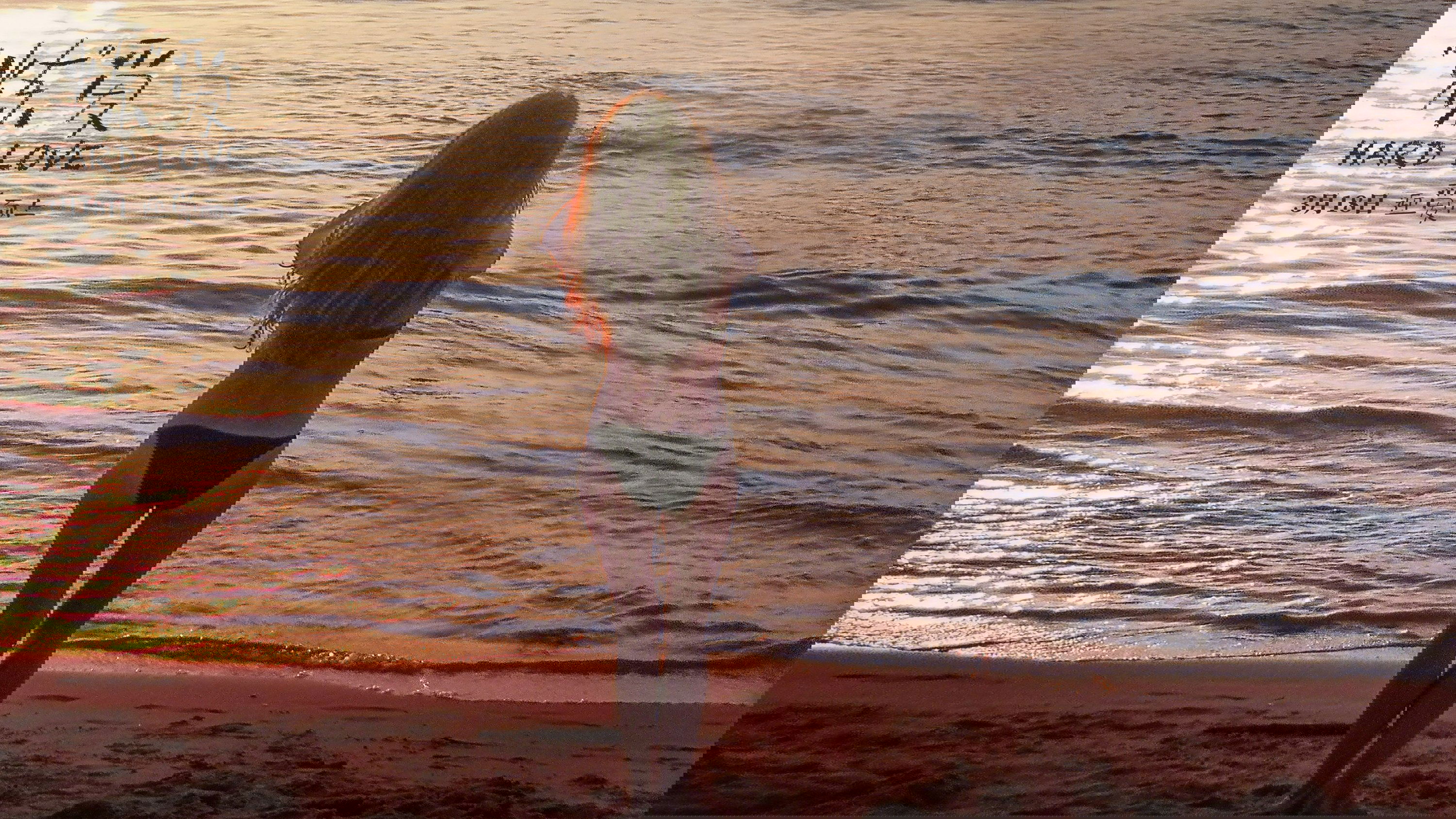 Hard Love Background