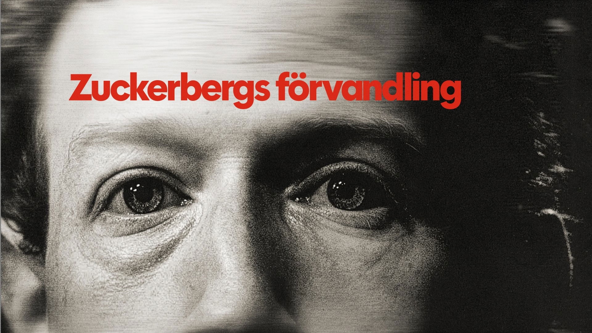 Zuckerberg, From Geek to Guru Background