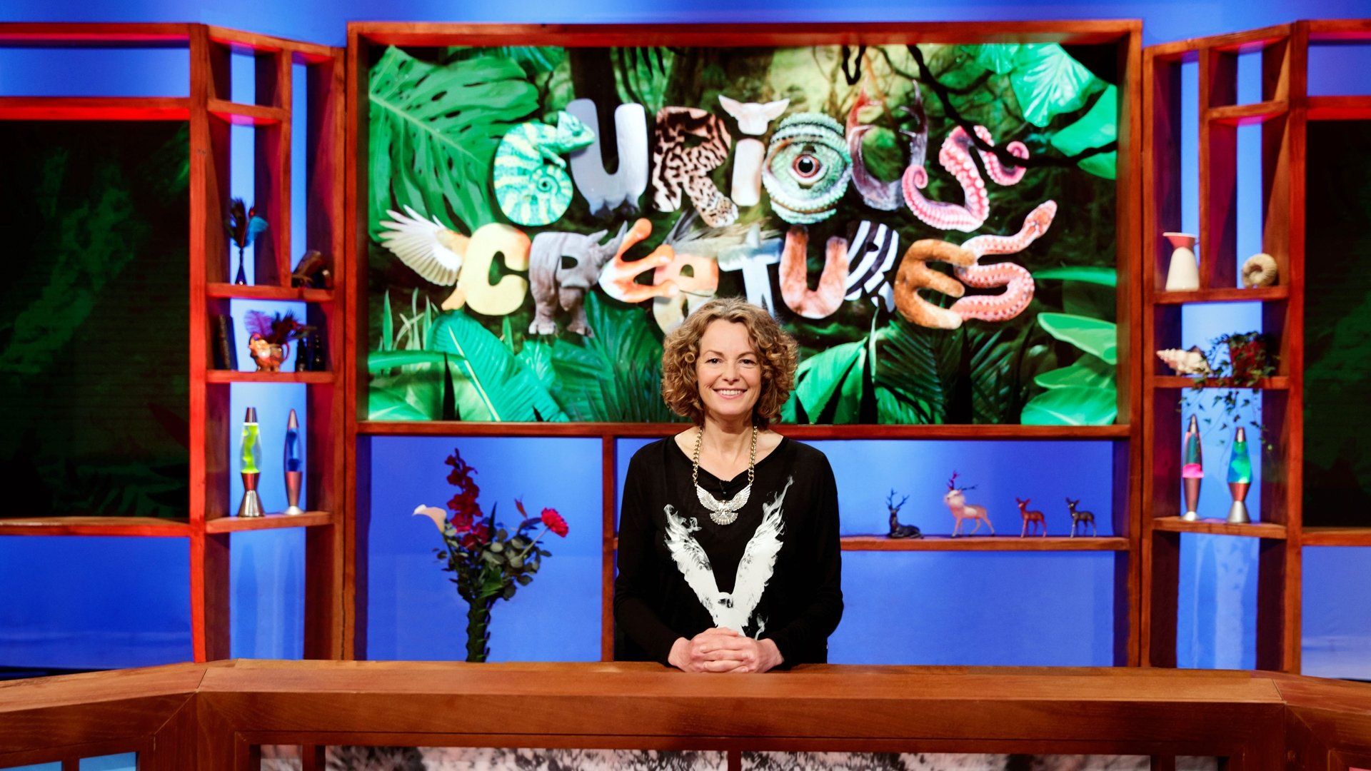 Curious Creatures Background