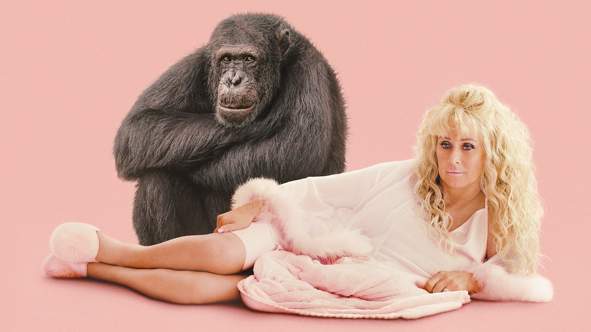 Chimp Crazy Background