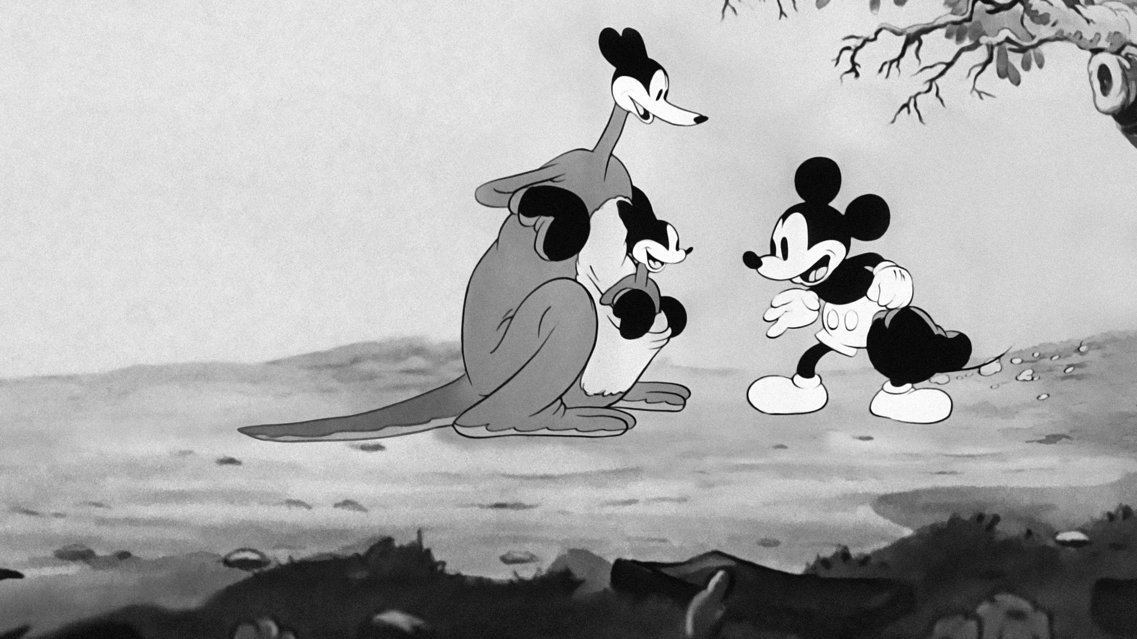 Mickey's Kangaroo Background