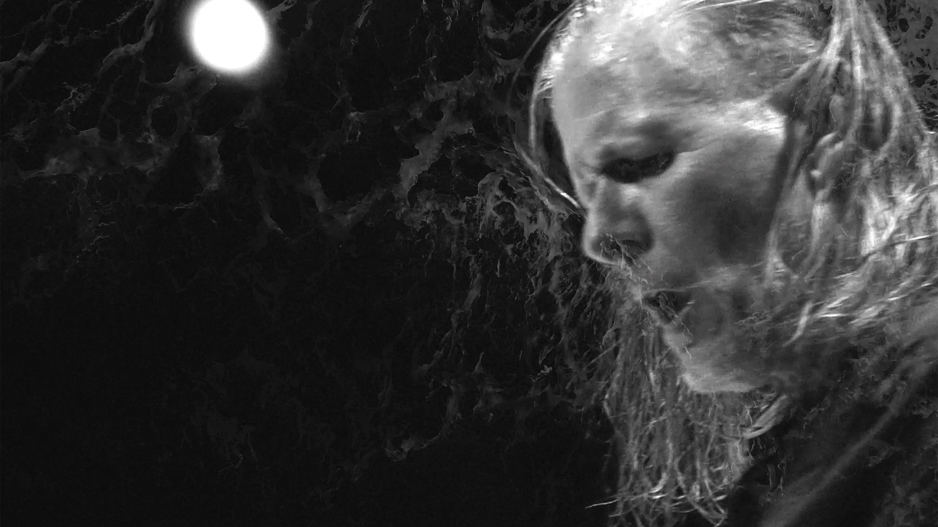 Swans: Where Does a Body End? Background