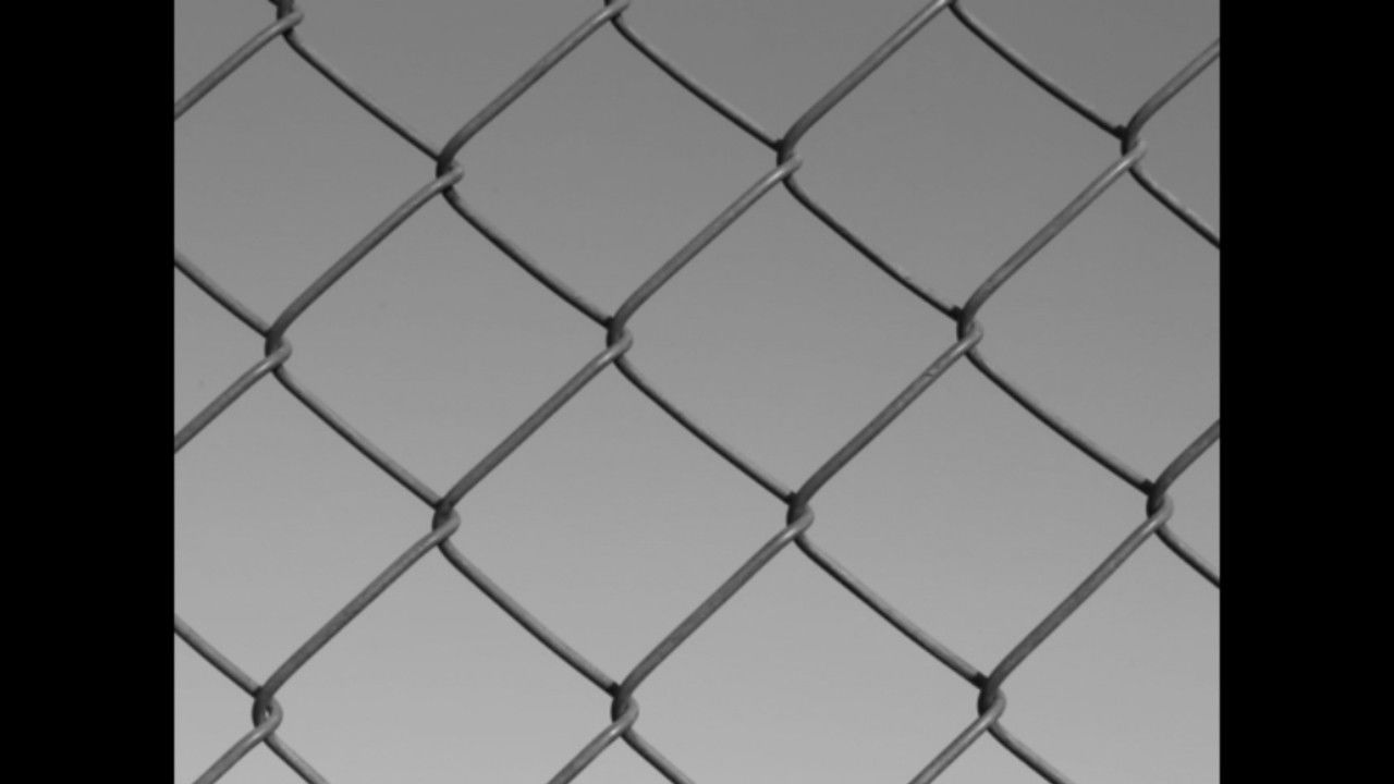 After The Birds Background